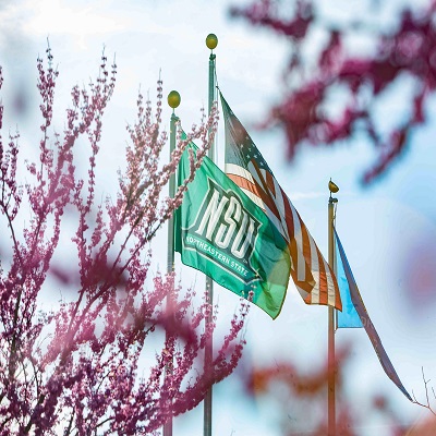 nsu flag with american flag