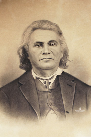 general stand watie